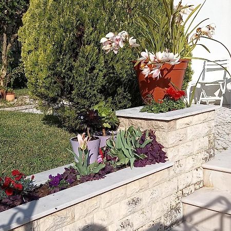 فندق Telesico Residencia بومبال المظهر الخارجي الصورة